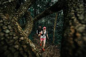 BIB: 
                            <button type="button" onclick="openModal(25673763)" class="btn btn-primary btn-sm float-right btn-popup" data-toggle="modal" data-target=".modal-high-quality">
                        <i class="fas fa-shopping-cart"></i> Add to Cart
                    </button>
                                            <button type="button" onclick="isThisMe(25673763, true)" class="btn btn-success btn-sm float-right btn-popup btn-isme hidden" data-toggle="tooltip" data-placement="bottom" title="นี่คือรูปของคุณใช่ไหม คลิกที่นี่เพื่อเอาเข้าอัลบั้ม">
                        <i class="fas fa-plus"></i> Add to album
                    </button>
                    <button type="button" onclick="isThisMe(25673763, false)" class="btn btn-warning btn-sm float-right btn-popup btn-isnotme hidden">
                        <i class="fas fa-ban"></i> Remove from album
                    </button>